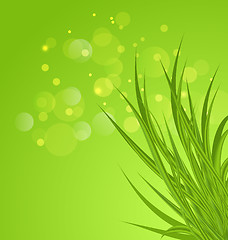 Image showing Spring background background with green grass