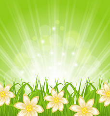 Image showing Spring background with green grass and flowers