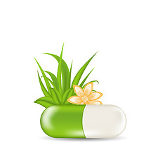 Image showing Natural medical pill with flower, leaves, grass, isolated on whi