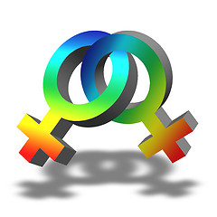 Image showing Lesbian Symbol