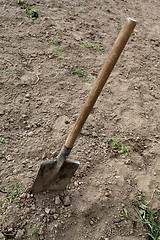 Image showing  shovel stuck