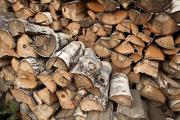 Image showing birch firewood 