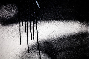 Image showing Spray Paint