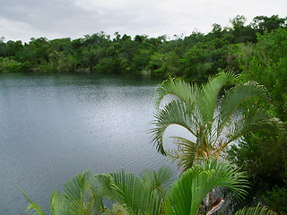 Image showing Cenote Azul