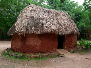 Image showing historic mayan hut