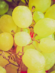 Image showing Retro look Grape