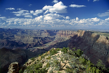 Image showing Grand Canyon