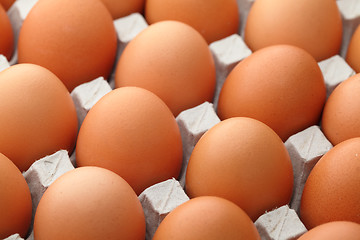 Image showing Brown egg in paper package