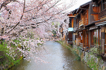 Image showing Kyoto wooden house and sakura