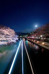 Image showing Biwa lake canal with sakura tree