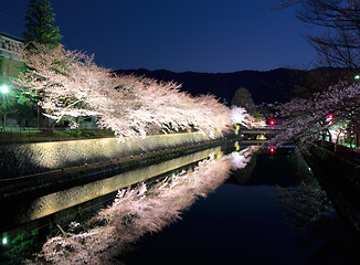 Image showing Biwa lake canal with sakura tree at night