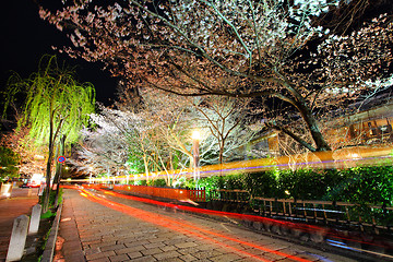 Image showing Gion with sakura trss at night