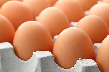 Image showing Brown egg in paper package close up