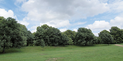 Image showing Kensington gardens London