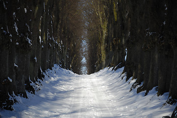 Image showing Pathway at winter