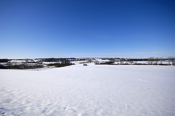 Image showing Winter landscape