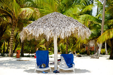 Image showing Paradise beach with palms and sunbeds