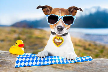 Image showing oktoberfest dog 