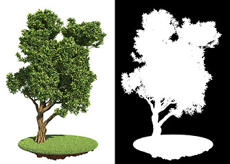 Image showing Asymmetric Green Tree Isolated on White.