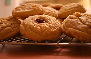 Image showing Fresh Cookies