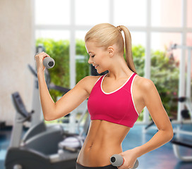 Image showing young sporty woman with light dumbbells at gym