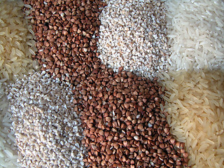 Image showing rices