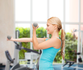 Image showing young sporty woman with light dumbbells