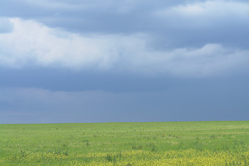 Image showing uncultivated farm land