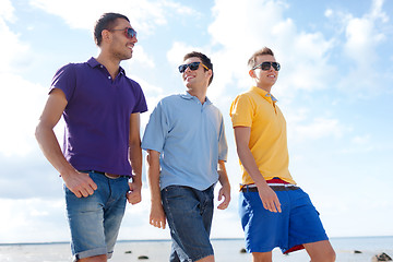 Image showing group of male friends walking on the beach