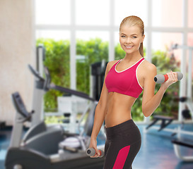 Image showing young sporty woman with light dumbbells