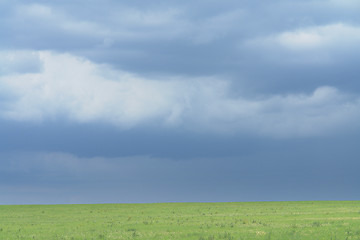 Image showing Uncultivated farm land