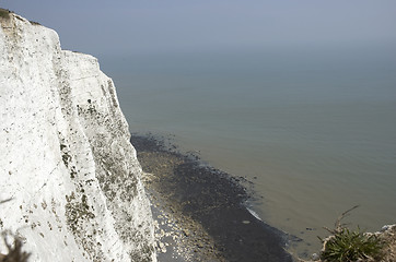 Image showing White cliffs of Dover