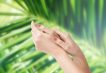 Image showing female soft skin hands