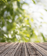 Image showing wooden floor and green plants