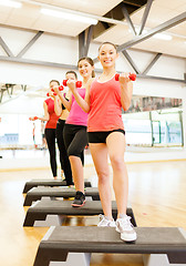 Image showing group of smiling female with dumbbells and step