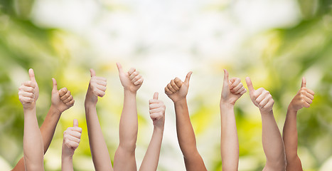 Image showing human hands showing thumbs up
