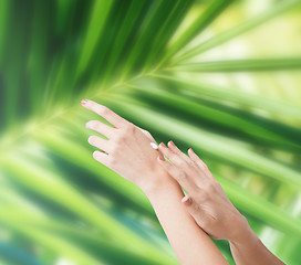 Image showing female soft skin hands