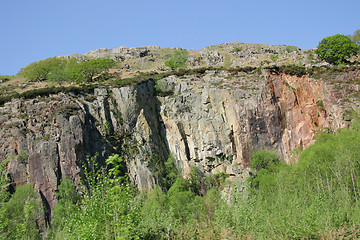 Image showing trees on a mountains