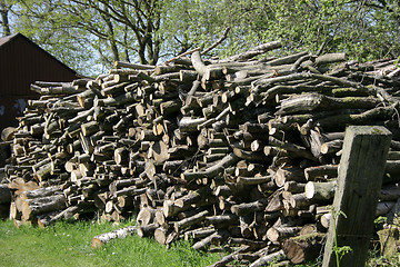 Image showing large stack of tree logs