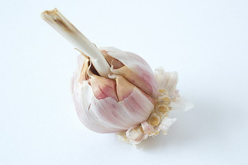 Image showing garlic clove