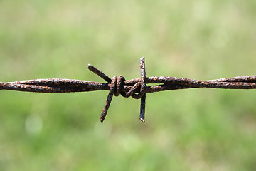 Image showing Closeup of rusty barbed wire