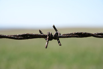 Image showing Rusty barbed wire macro