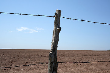 Image showing Barbed wire farm fence