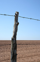 Image showing Old barbed wire farm fence