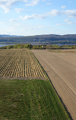 Image showing Cultivated farmland in spring