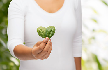 Image showing closeup woman hand with green sprout