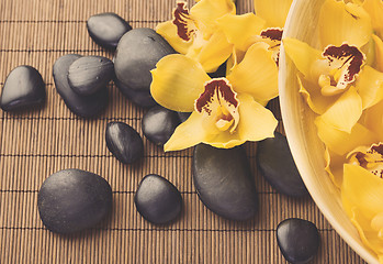 Image showing massage stones with orchid flowers on mat