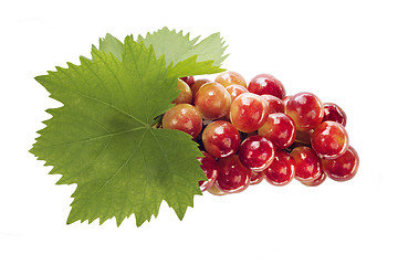 Image showing Ripe grapes with leaf