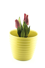 Image showing pottery flowerpot
