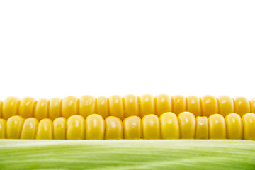 Image showing Corn